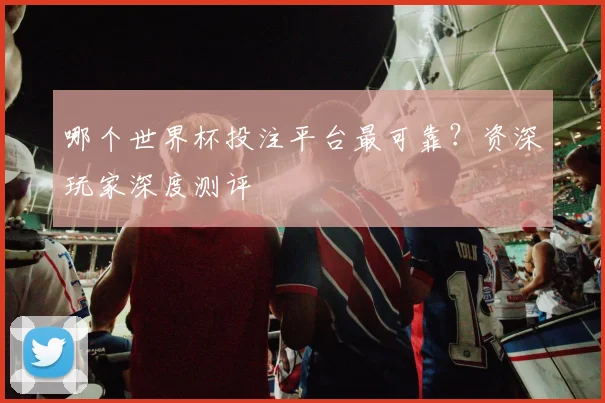 哪个世界杯投注平台最可靠？资深玩家深度测评