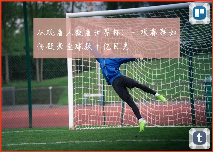 从观看人数看世界杯：一项赛事如何凝聚全球数十亿目光