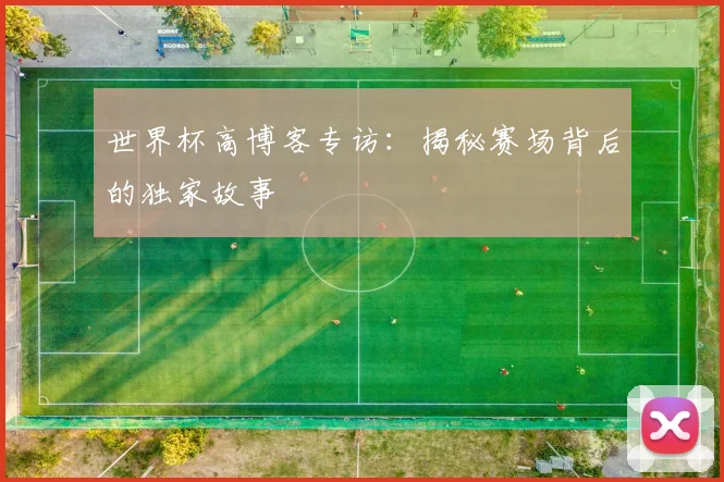 世界杯高博客专访:揭秘赛场背后的独家故事