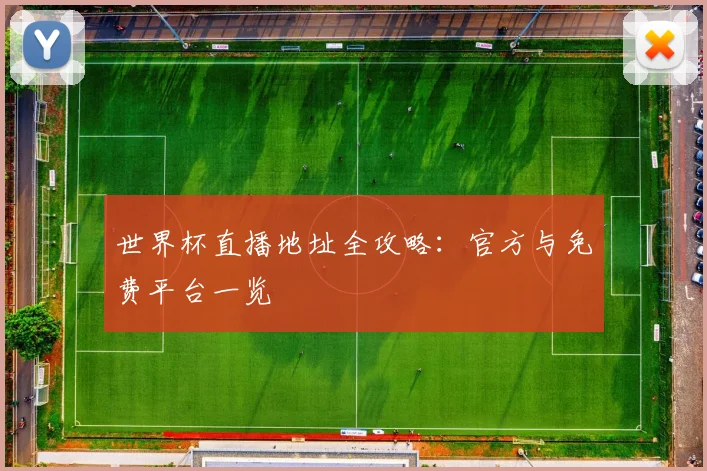世界杯直播地址全攻略：官方与免费平台一览