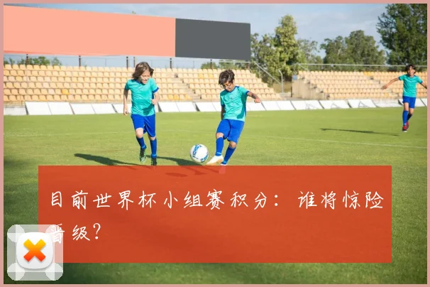 目前世界杯小组赛积分：谁将惊险晋级？